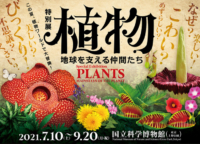 【終了】世界最大の花ラフレシアが実寸大模型で登場！国立科学博物館で見られるのは9月20日（月）まで