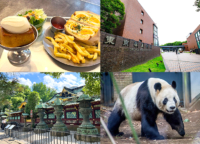 博物館や美術館に動物園、観光にぴったりな上野のおすすめスポットを紹介