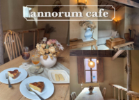 浅草｜淡色空間が素敵な「annorum cafe」で優雅なカフェタイム！ アンティークショップが営むカフェならではの魅力をご紹介