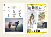 上野｜終了間近！動物に関する東京都美術館の展示2選！