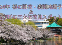 2024｜東京の桜はいつ頃咲く？満開時期は？今年の桜開花予想情報と台東区の三大お花見スポットを紹介！