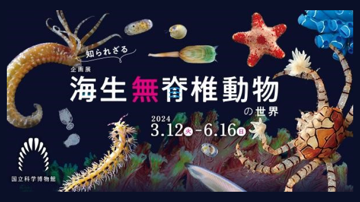 上野｜企画展「知られざる海生無脊椎動物の世界」は6月16日(日)まで