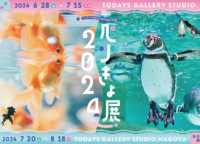 6.28 (金) 〜 7.15 (月)｜TODAYS GALLERY STUDIO.でペンギンと金魚の合同写真展＆物販展「ペンぎょ展 2024」が開催！