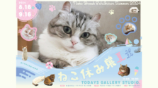 8.16 (金) 〜 9.16 (月)｜猫の合同写真展＆物販展「ねこ休み展 夏 2024」が浅草橋のTODAYS GALLERY STUDIO.で開催！