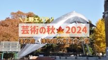 芸術の秋を堪能！今やっている上野の美術館・博物館の展覧会イベント一覧｜2024