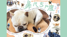 5/23(金)～6/8(日)｜TODAYS GALLERY STUDIO.で「鼻ぺちゃ展 2025」が開催！