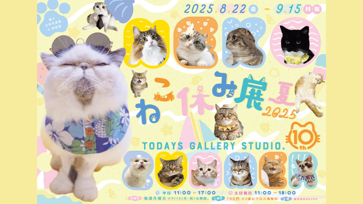 8.22 (金) 〜 9.15 (月)｜10周年記念・夏の本祭！猫の合同写真展＆物販
