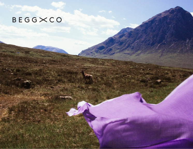 紫色の布と山と鹿の風景