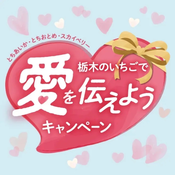 キャンペーン告知