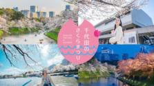 皇居千鳥ヶ淵「千代田のさくらまつり」2026年開催！夜桜ボートからアニメコラボまで春の千代田を満喫
