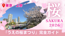 【2026年】うえの桜まつり完全ガイド|見どころ・グルメ・夜桜まで徹底解説