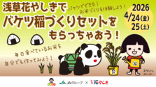 浅草｜遊園地で稲づくり体験！？JAグループ×浅草花やしき「バケツ稲」コラボ！4月24日（金）・25日（土）