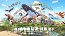 【2026年最新】夏休みに行きたい|上野で絶対外せない展覧会3選|アート・いきもの・仏教美術が勢揃い
