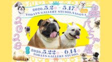 5/22(金)～6/14(日)｜TODAYS GALLERY STUDIO.で「鼻ぺちゃ展 2026」が開催！